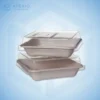 Compostable Take Out Containers