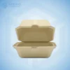 Compostable Take Out Containers