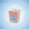 Custom Mini Popcorn Boxes